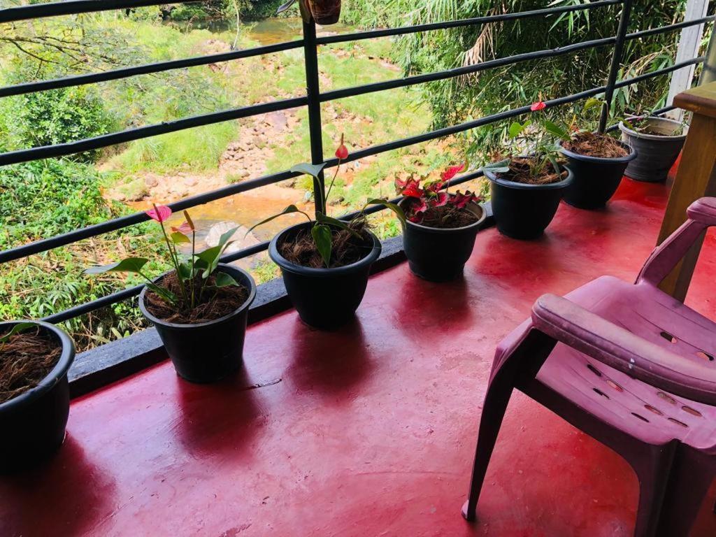 Vegetable Garden House Hotel Nallathanniya Kültér fotó